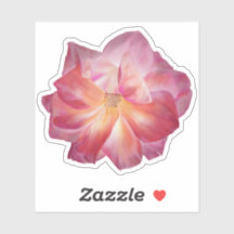 Levendige Pastel Roze Rose Illustratie Custom
