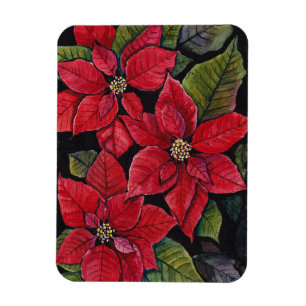 Levendige poinsettia in de Waterverf Magneet