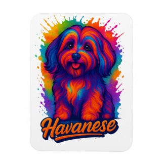 Levendige Pop Art Havanese Hond – Kleurrijke Straa Magneet