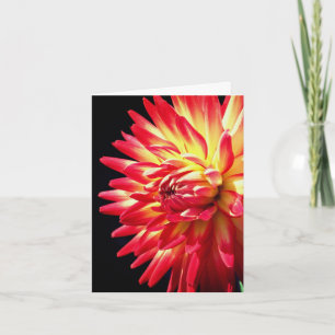 Levendige rode dahlia bloem fotografie notitiekaartje