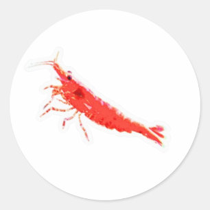 Levendige rode kersengarnaalsticker, Premium zoetw Ronde Sticker