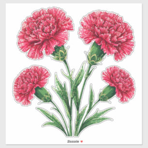Levendige Roze Anjers Met Groene Stelen Sticker
