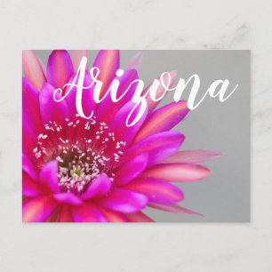 Levendige Roze Cactus Bloemblaadjes, Arizona Briefkaart