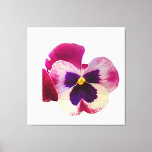 Levendige roze en paarse viooltjesbloem foto canva canvas afdruk