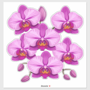 Levendige Roze Orchideeën Bloemcluster Sticker