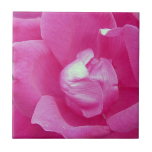 Levendige Roze Roze Foto Keramische Tegels Tegeltje