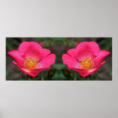 Levendige Roze Rozen Spiegel Abstract Poster (Voorkant)