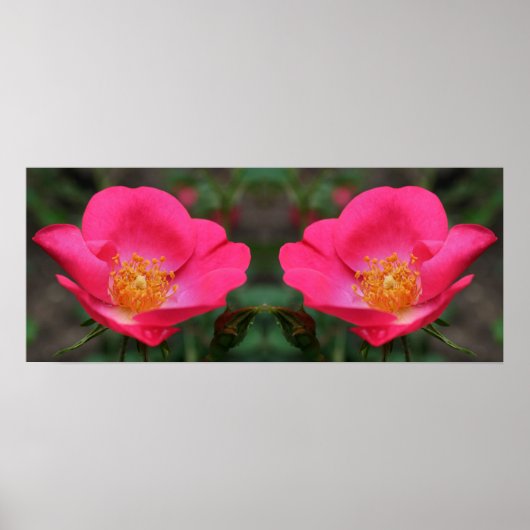 Levendige Roze Rozen Spiegel Abstract Poster (Voorkant)