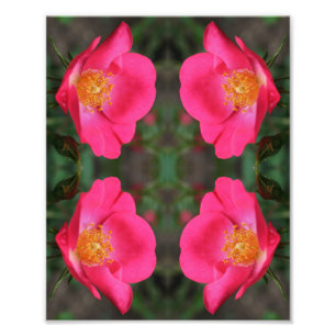 Levendige Roze Rozenblaadjes Abstracte Bloemkunst Foto Afdruk
