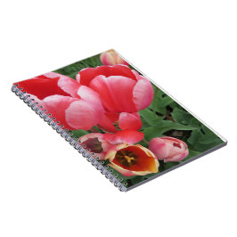 Levendige roze tulp bloemen foto - notitieboek