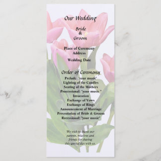 Levendige Roze Tulpen Programma