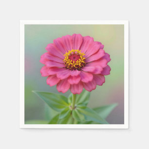 Levendige Roze Zinnia Bloem Macro Botanisch Servet