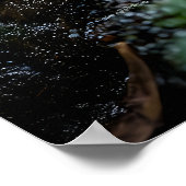 Levendige slang in regenwoud regen poster (Hoek)