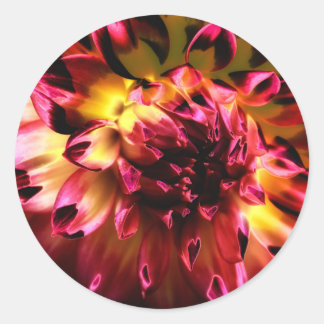 Levendige unieke bloem ronde sticker
