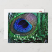 Levendige veren Briefkaart (Voorkant / Achterkant)