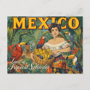 Levendige Vintage Stijl Mexico Tropisch Reizen Briefkaart