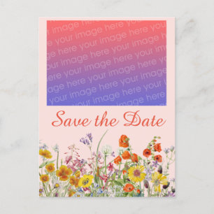 Levendige Wilde Bloemen   Briefkaart