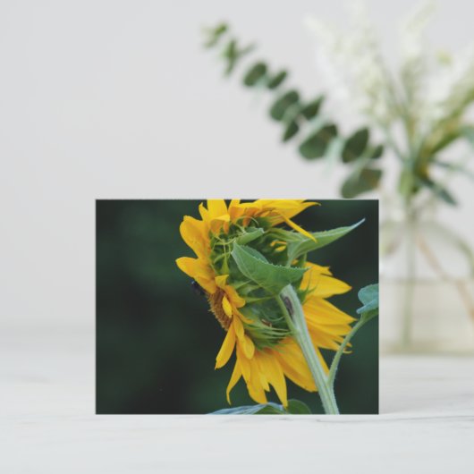 Levendige zonnebloem elegantie briefkaart (Staand voorkant)