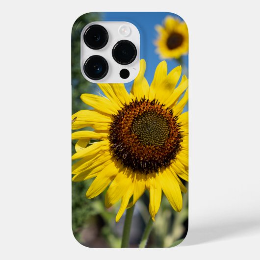 Levendige zonnebloemen Case-Mate iPhone case (Achterkant)