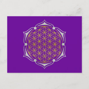 Levenflens - Lotus gold Silver Briefkaart