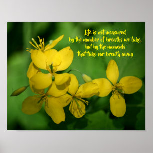 Levens Inspirerende Spreuk Wilde Bloemen Poster