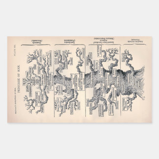 "Levensboom" 1859 illustratie door Ernst Haeckel Rechthoekige Sticker