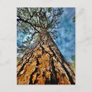 Levensboom Briefkaart