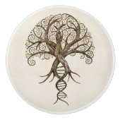 Levensboom - evolutie keramische knop (Voorkant)