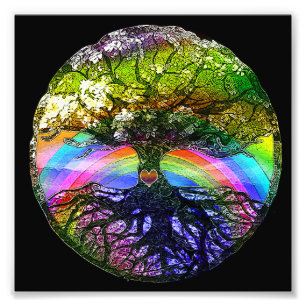 Levensboom met regenbooghart foto afdruk