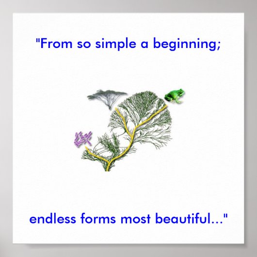 Levensboom Poster (Voorkant)