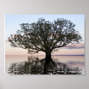 Levensboom (reflecties) poster