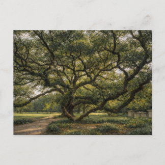 Levensboom van het Zuiden | Live Oak Kunst | Brief Briefkaart