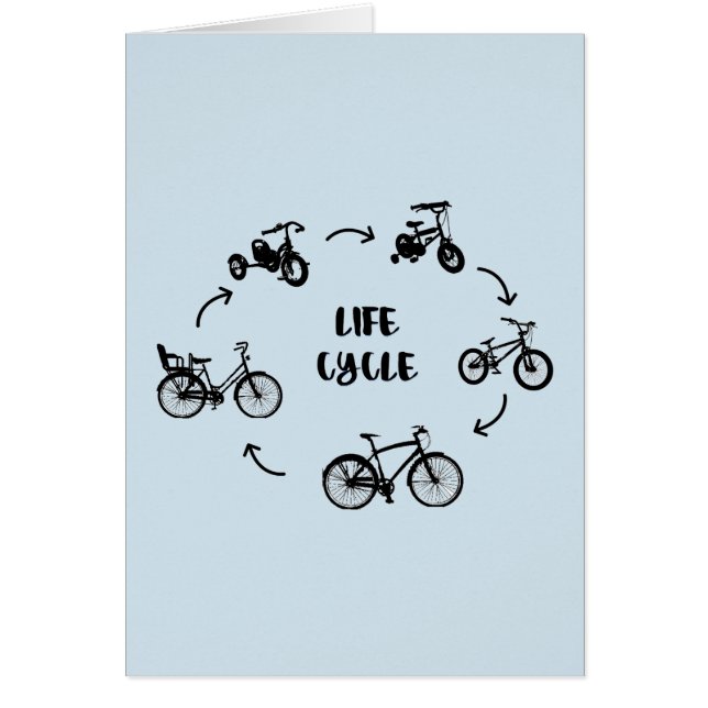  levenscyclus (Voorkant)