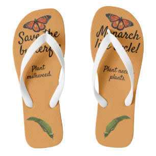 Levenscyclus van de monarchvlinder teenslippers