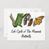 LEVENSCYCLUS VAN MONARCH BRIEFKAART (Voorkant / Achterkant)