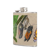 LEVENSCYCLUS VAN MONARCH HEUPFLES (Links)