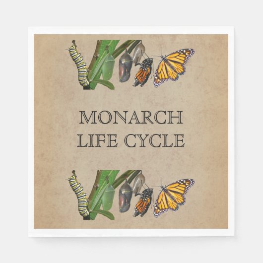 LEVENSCYCLUS VAN MONARCH SERVETTEN (Voorkant)
