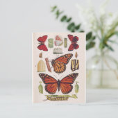 Levenscyclus van monoarch-vlinder briefkaart (Staand voorkant)