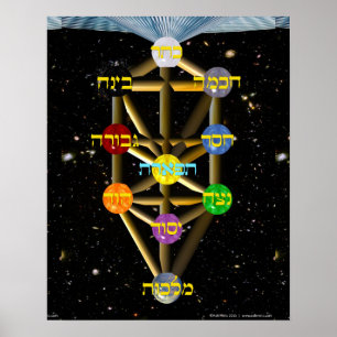 Levensdiagram met Hebreeuwse labels Poster