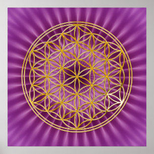 LEVENSDUUR goud, magenta shine Poster