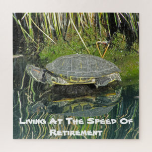 Levensduur na stillegging waterreflectie Pensioenu Legpuzzel