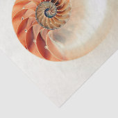 Levensduur Tissuepapier (Detail)