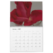 Levensduur van een Roos Kalender (Jan 2027)