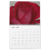 Levensduur van een Roos Kalender (Mar 2027)