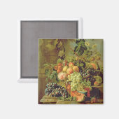 Levensduur van fruit magneet (Voorkant / Achterkant)