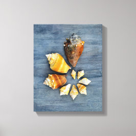 Levensfasen Canvas Afdruk