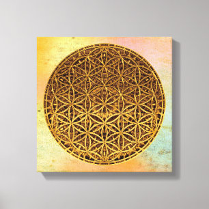 Levensloop / Blume des lebens - medaille goud Canvas Afdruk