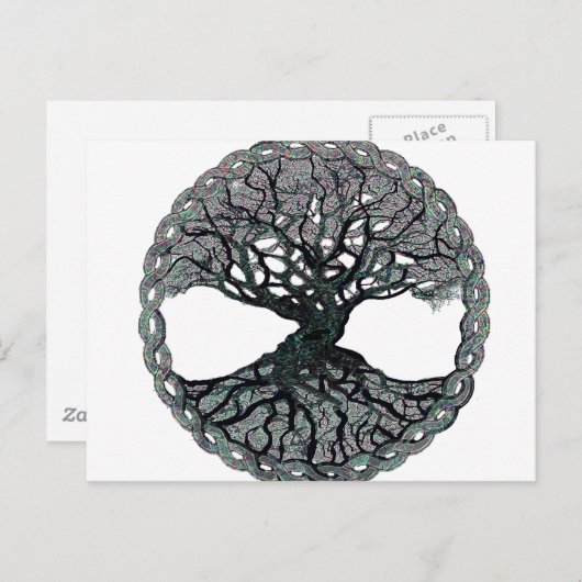 Levensloop Briefkaart (Voorkant / Achterkant)