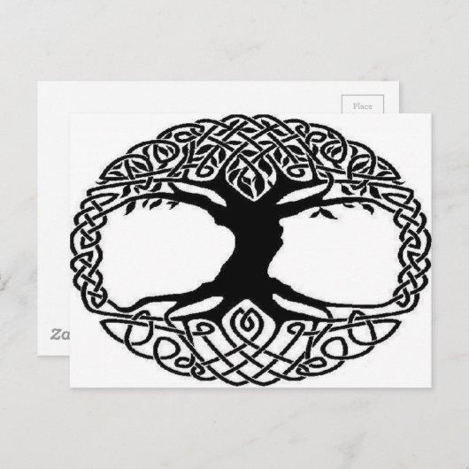 Levensloop Briefkaart (Voorkant / Achterkant)