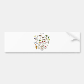 Levensloop Bumpersticker